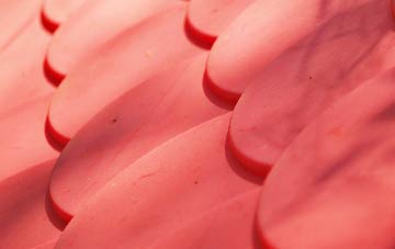 Drakewalls plastic roof costs